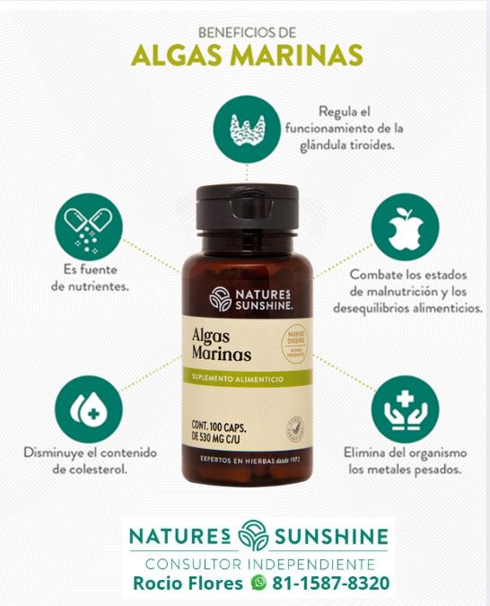 ALGAS MARINAS