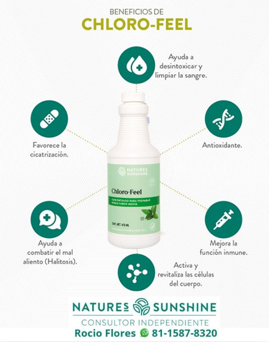 CHLORO-FEEL (CLOROFILA LIQUIDA)