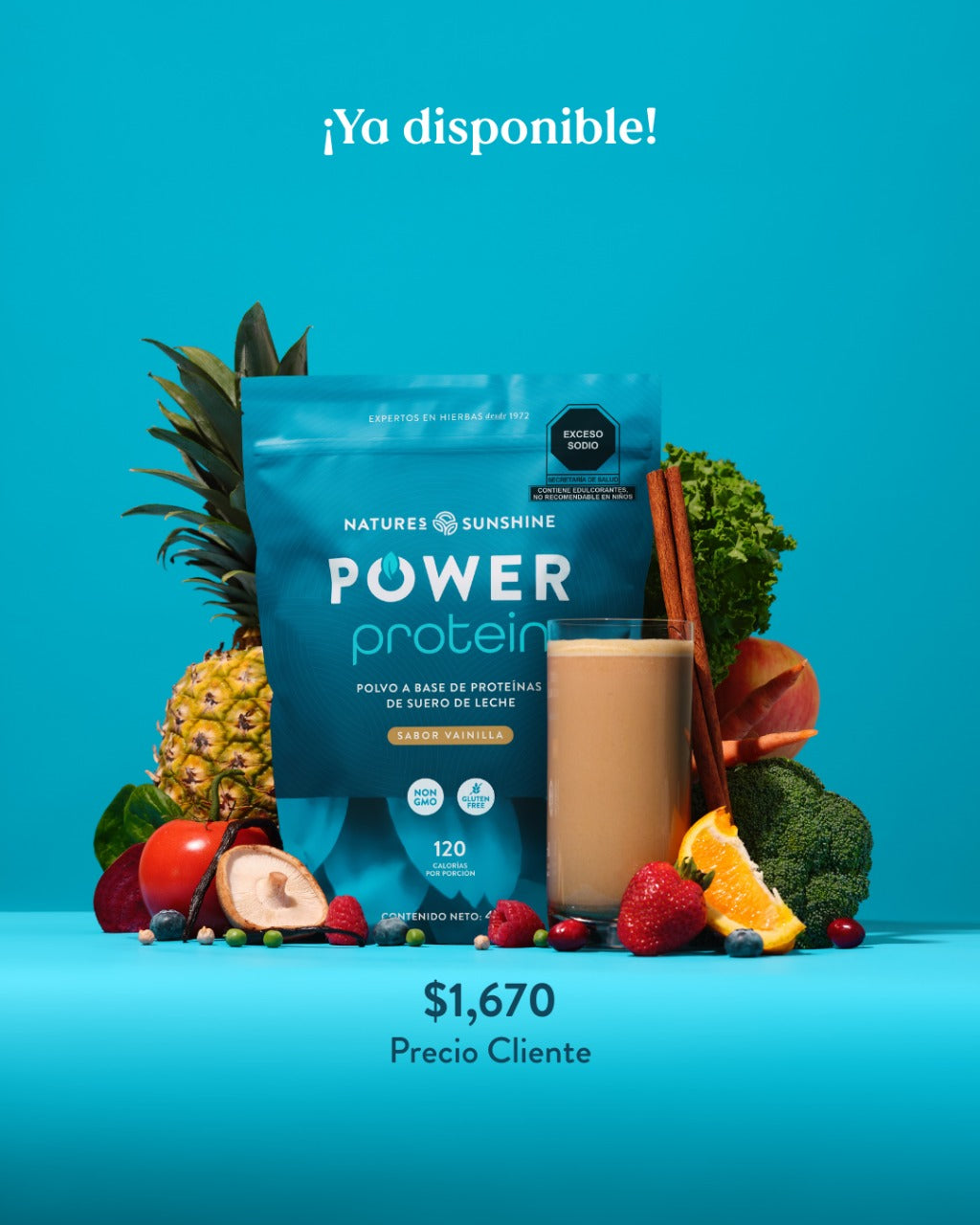 ESPECIAL POWER PROTEIN