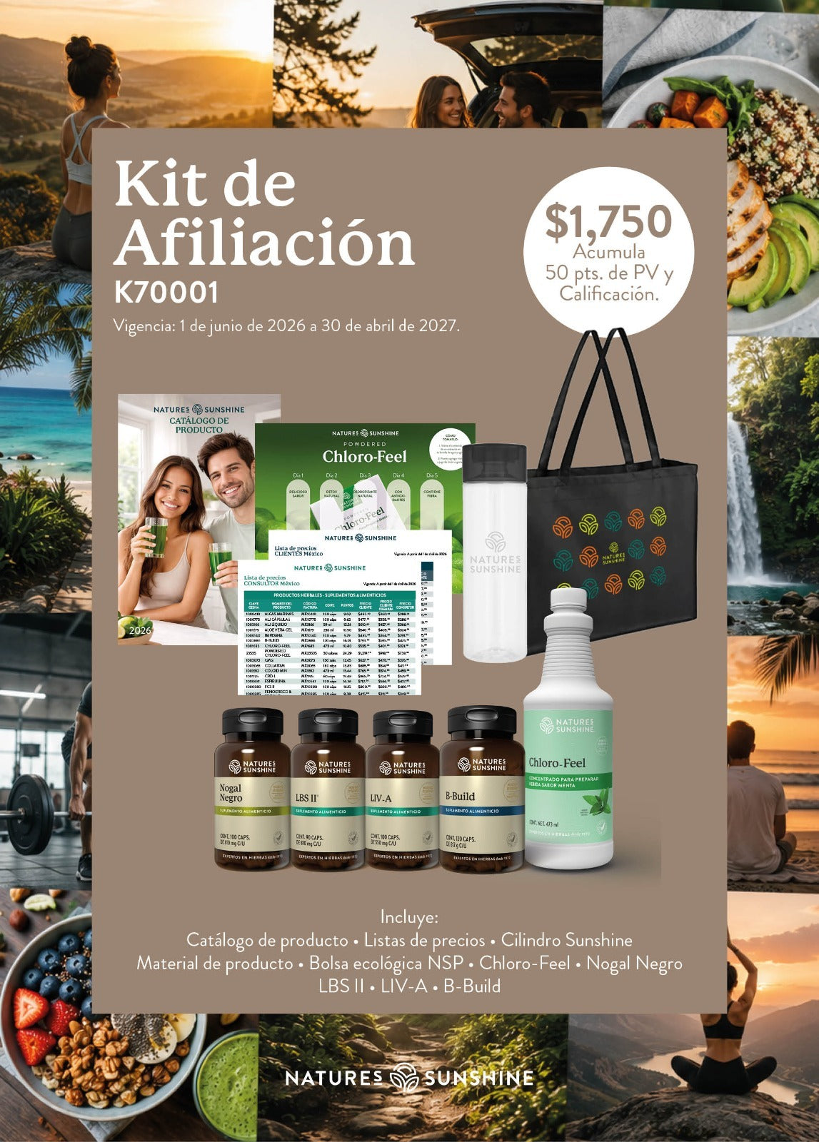 Kit Consultor NSP